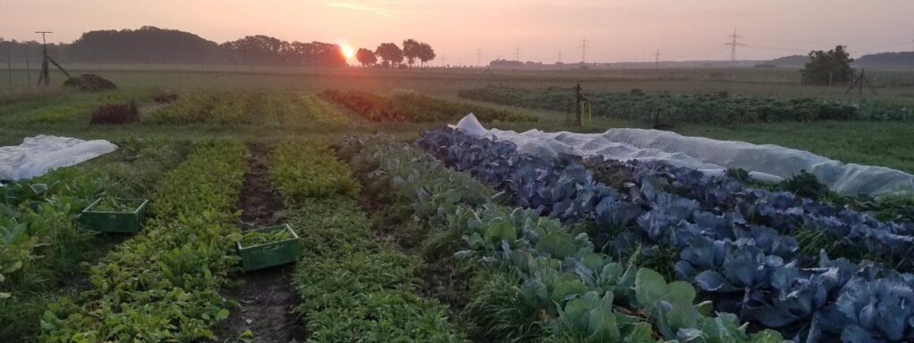 Zu Besuch auf der SoLaWi Wedesbüttel