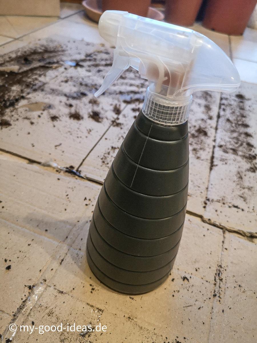 Sprühflasche, um die Anzuchten zu besprühen